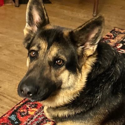 AnnaGaffga's profile picture. 