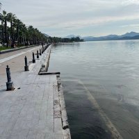 Rüstem Çakı (@rustemcaki) 's Twitter Profile