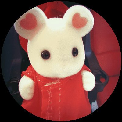 うつのみやさんのプロフィール画像