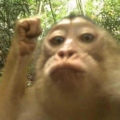 name3300's profile picture. 