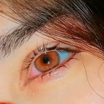 MYbEstXdoSt's profile picture. QuEEn oF CaNadA 🇨🇦🇵🇰