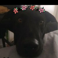reality-based (@reality_1323) 's Twitter Profile