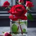 فریداحمد (@frydahmd34106) Twitter profile photo فریداحمد (@frydahmd34106) Twitter profile photo