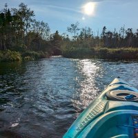 Ms Dale 🇨🇦 (@dalerm) 's Twitter Profile Photo