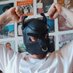 Pup Noxi (@pupnoxi) Twitter profile photo Pup Noxi (@pupnoxi) Twitter profile photo