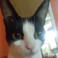 liendreparanoico (@liendre7z) 's Twitter Profile