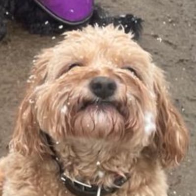 MartinHMA67's profile picture. 