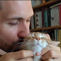 Bellator Philologus. COLONO😈 Ut Phœnix renascens! (@phebimusarumque) 's Twitter Profile