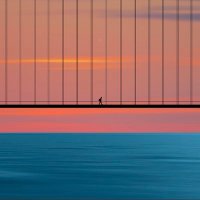 🌊🌊 (@allfundsaresafu) 's Twitter Profile Photo 🌊🌊 (@allfundsaresafu) 's Twitter Profile Photo