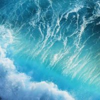 sierra88 🌊 (@sierrrra88) 's Twitter Profile