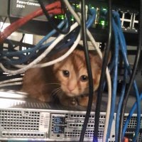 Essili Ayoub (@essiliayoub) 's Twitter Profile