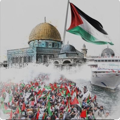 ADEMKOL3461's profile picture. SÜRÜCÜ