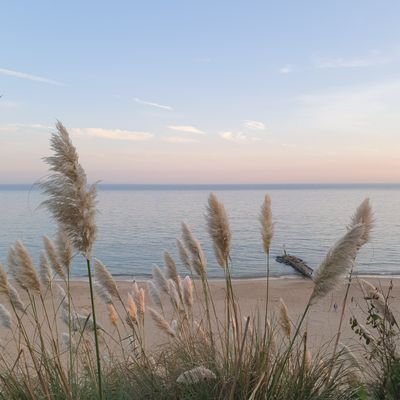 fzpiccin1's profile picture. 