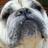 Toddspee's profile image