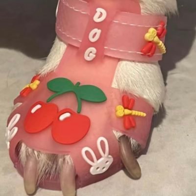 Weweb16805's profile picture. 