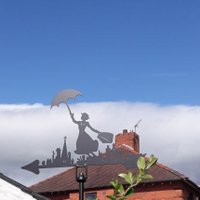 Nancy Pickersgill (@nancypi64) 's Twitter Profile Photo Nancy Pickersgill (@nancypi64) 's Twitter Profile Photo