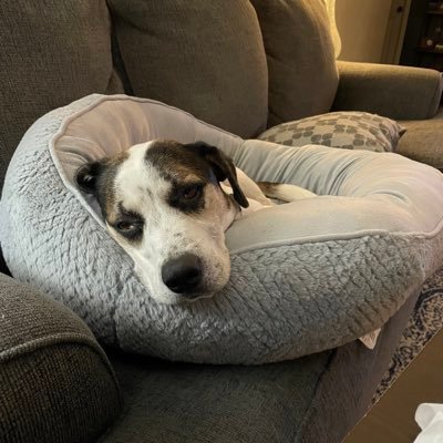 samandmelody's profile picture. 