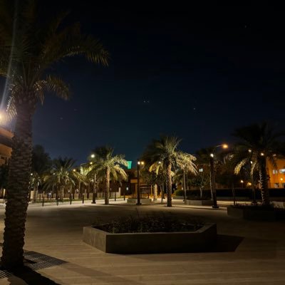 SS7lM1's profile picture. IE 👩🏻‍🔧✨