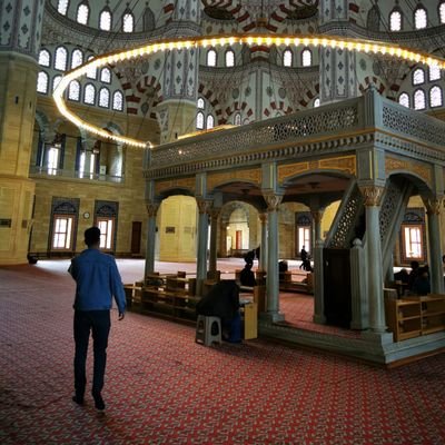 sercanada001's profile picture. #CRO