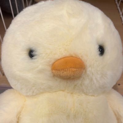 想さんのプロフィール画像
