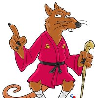 SplinterTMNT (@splintertmnt3) 's Twitter Profile