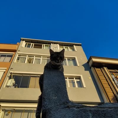 ugurcanbtn's profile picture. Müslüman.

Eğer hırsız, tacizci, tecvüzcü, katil, ve diğer suçları işleyen biri değilsen Şeriat'tan korkma.