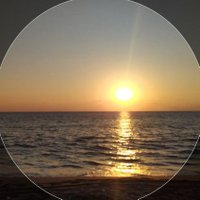 mikrobist ® (@mikrobistt) 's Twitter Profile