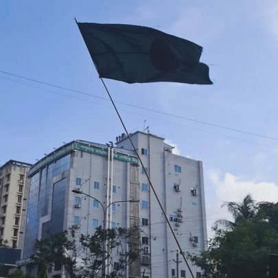 TaheraTama's profile picture. Medical Student -Human - Book Lover