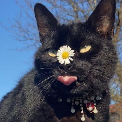 Diggy_01's profile picture. 19y