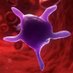KornblithLab (@kornblithlab) Twitter profile photo KornblithLab (@kornblithlab) Twitter profile photo