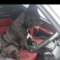 Theodoros (@chuckz_eth) 's Twitter Profile