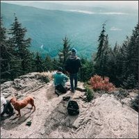 Shuedes (@shuedesx1vjhsr) 's Twitter Profile
