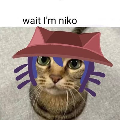Sepherdd's profile picture. niko addict that likes chemistry