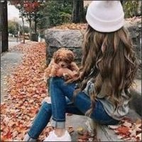 Alexis (@pheseywrairhsa) 's Twitter Profile