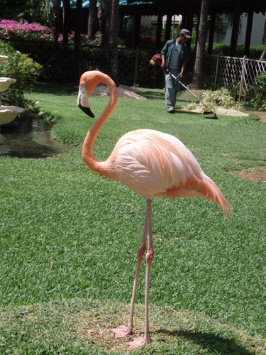 moniquestrater's profile picture. 