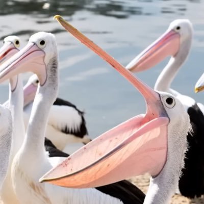 海が青く見える理由 Profile