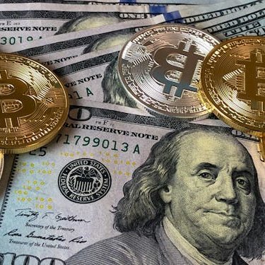 jackruii9's profile picture. 