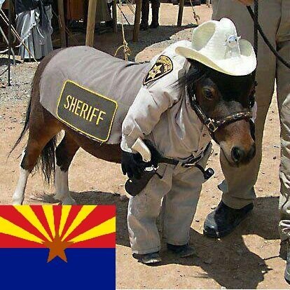 barb_az's profile picture. #MAGA PRAY FOR Israel 🇺🇸🇮🇱
#BackTheBlue
#Horses are STILL Taming the WILD WILD WEST!
🐎🐎🐎