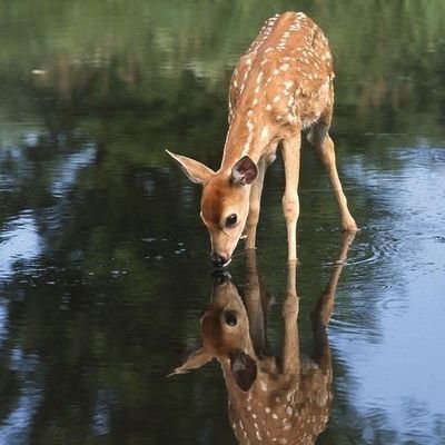 CatherineHach2's profile picture. 