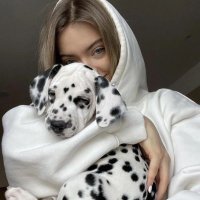 Lisa (@lisajohnso64302) 's Twitter Profile