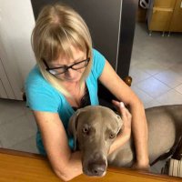 Pet Care And Services (@certifiedbreeda) 's Twitter Profile