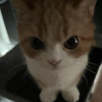 Terrymj027's profile picture. Sachin💯 Surya💗💗 Kamal💗💗