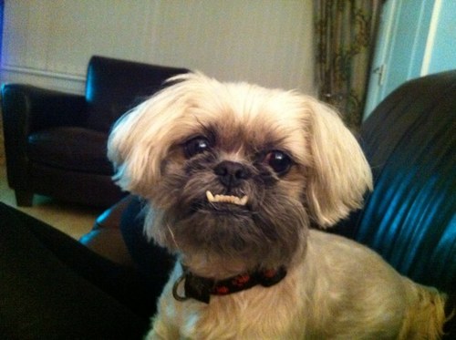 veron990's profile picture. 