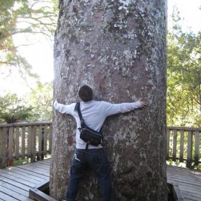 Jellyfish_9_s's profile picture. 主はWalter Fitzroy Jr. で爆弾撒き散らしてます→敵を呼び込みます→デスボになります… 楽しければ良し！基本日本語、場合によって英語。純正日本人。 固定メンバー探しの旅に出てます！