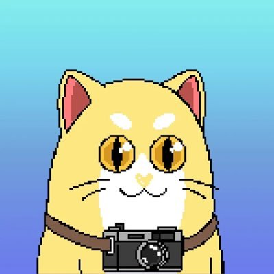 niceBeen356417's profile picture. 