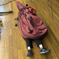 せのさん (@seno_penguin) 's Twitter Profile