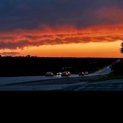 Bartolo76606069's profile picture. 