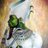SonofAusar's profile image