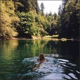 ShatertepPQsRk's profile picture. 