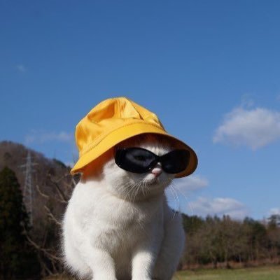 livandpeter's profile picture. a fan of movies and tv shows